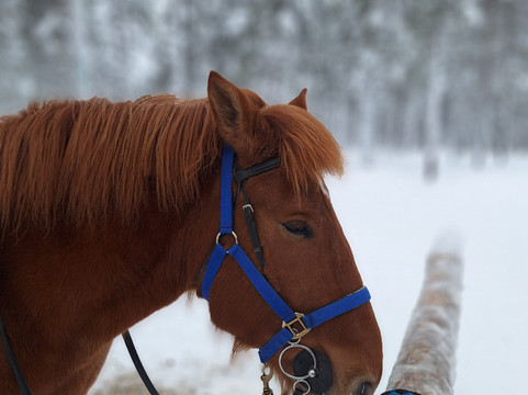 Polar Lights Tours-Sirkka必去景点
