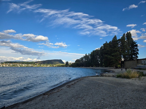 That Wanaka Tree-瓦纳卡必去景点