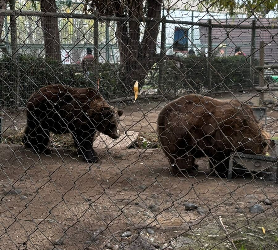 Zoológico Nacional de Chile-圣地亚哥必去景点