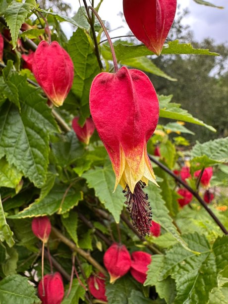 英蒂蓬库圣谷酒店-官方