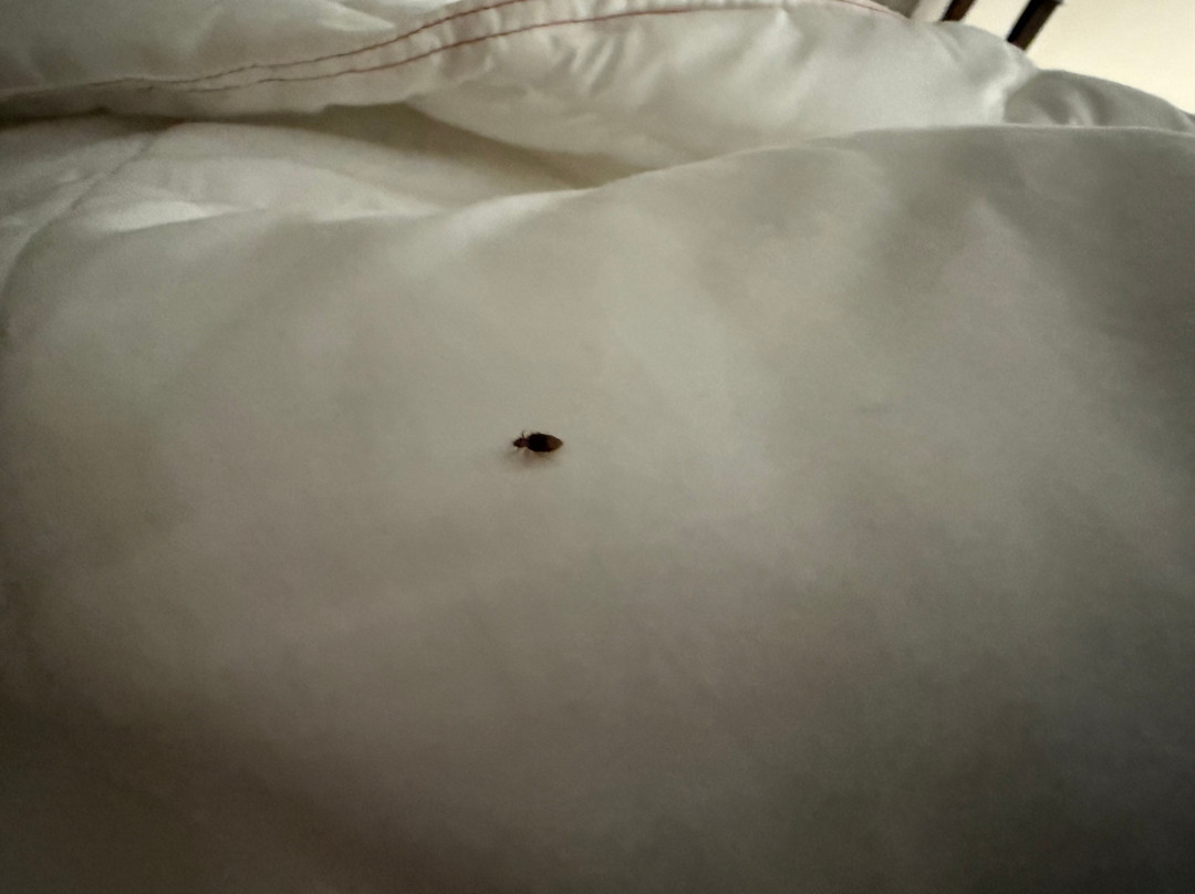 希尔顿欢朋酒店-俄克拉何马市东北主图