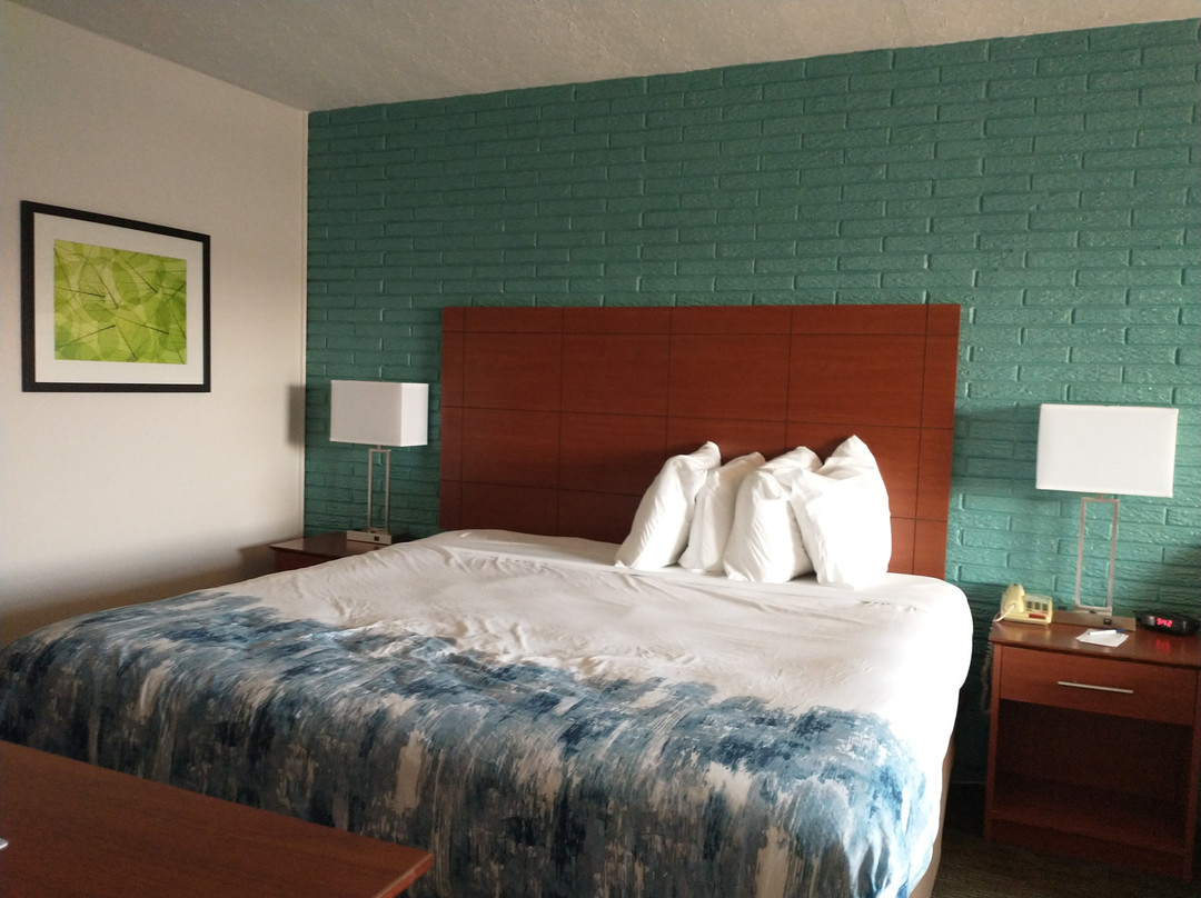 亨德森维尔贝斯特韦斯特酒店主图