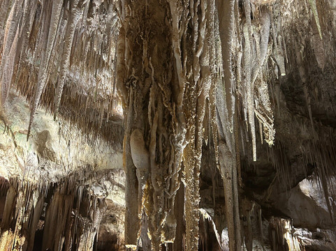 Tantanoola Caves Conservation Park-Tantanoola必去景点