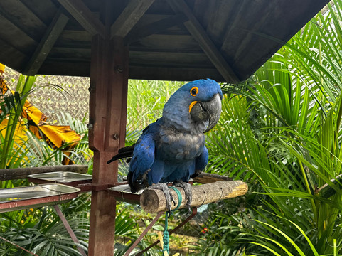 Parque Arvorar-Aquiraz必去景点