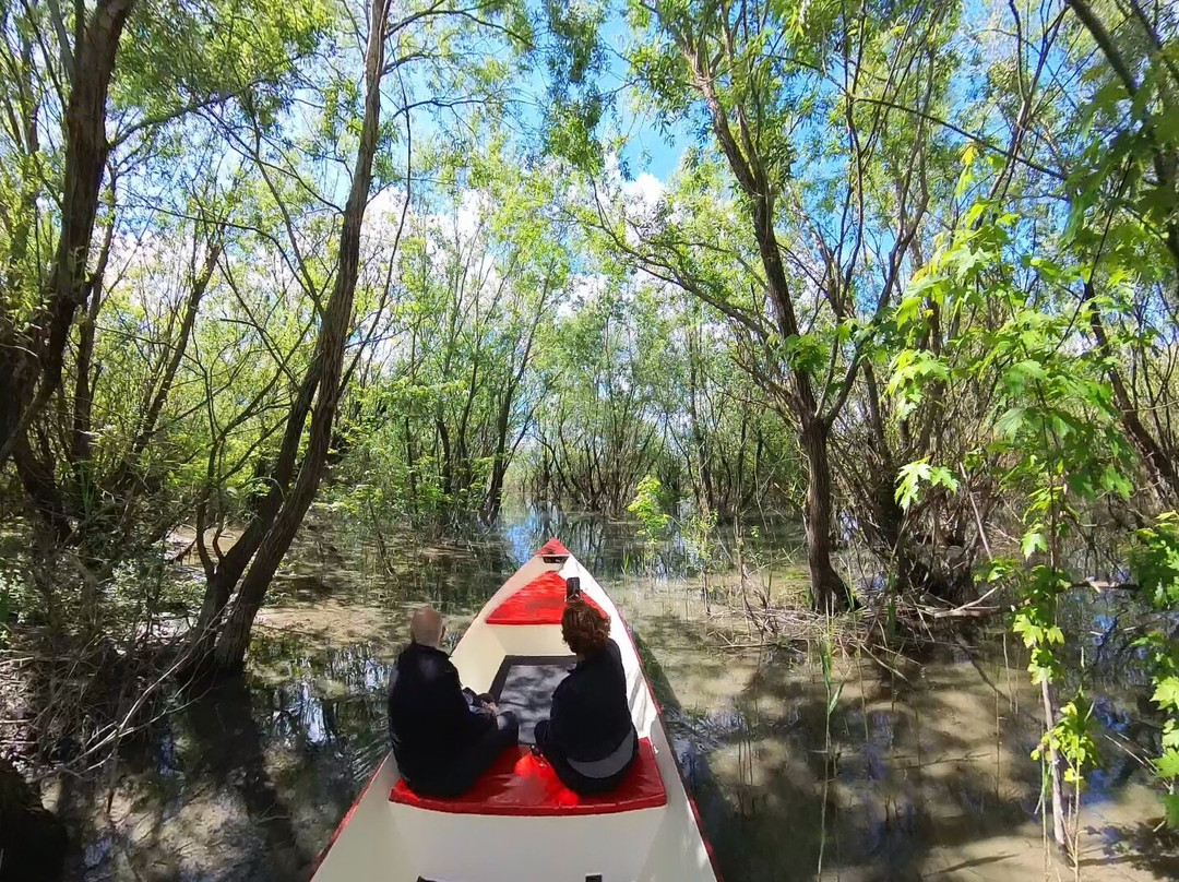 Skadar Lake - Boat Cruise Milena-维尔巴札拉必去景点