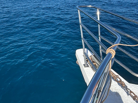 Ningaloo Whaleshark-N-Dive-埃克斯茅斯必去景点
