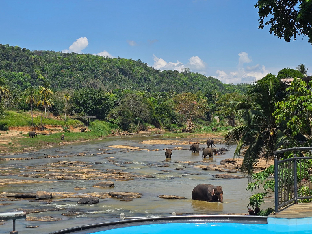 Monkey Tours Sri Lanka-加勒必去景点