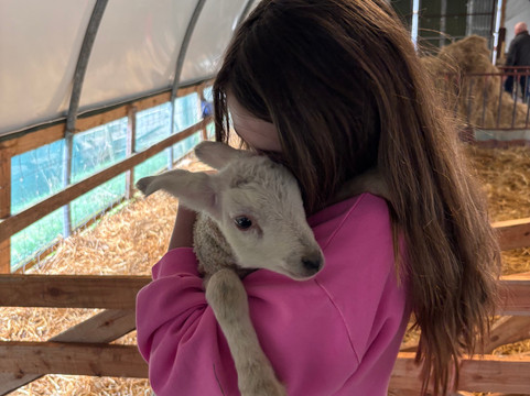 Cullen's Sheep Farm-拉腊必去景点