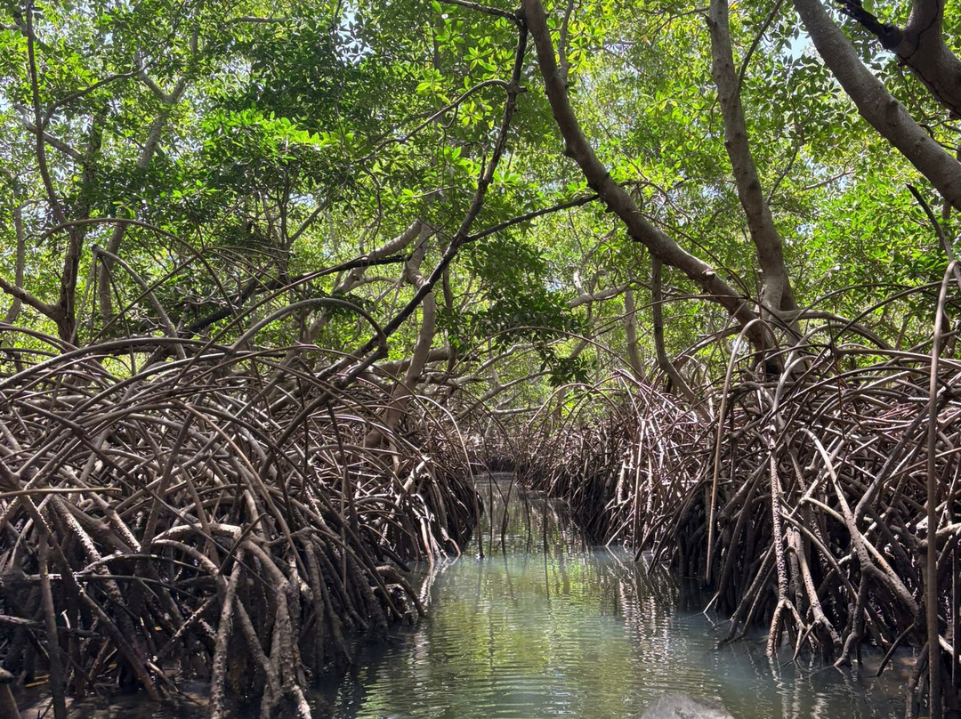 Soumare Tour-开普史基林必去景点