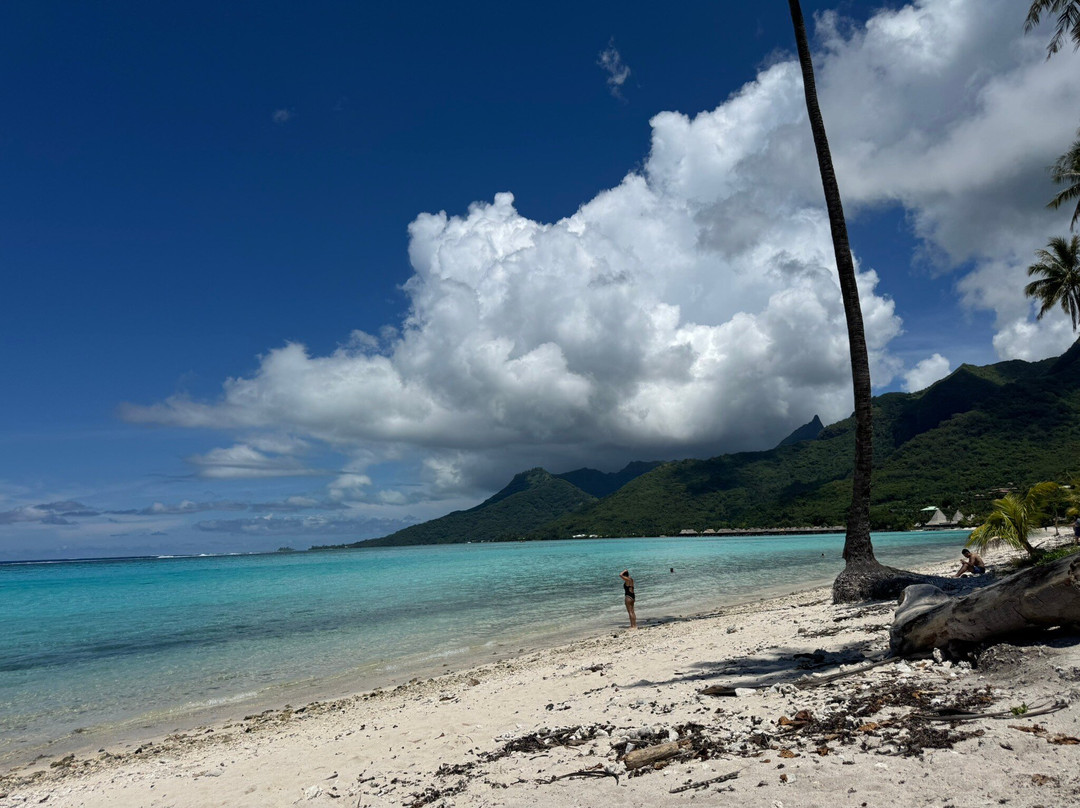 Plage Publique de Temae-莫雷阿岛必去景点