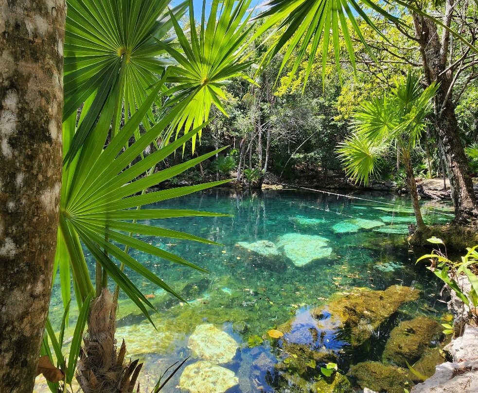Dressel Divers Playa Del Carmen-普拉亚德尔卡曼必去景点