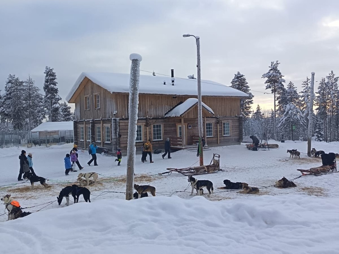 哈士奇雪橇之旅-罗瓦涅米必去景点