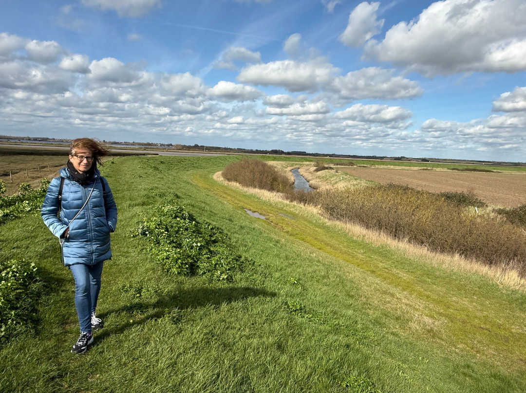 Cudmore Grove Country Park-Mersea Island必去景点