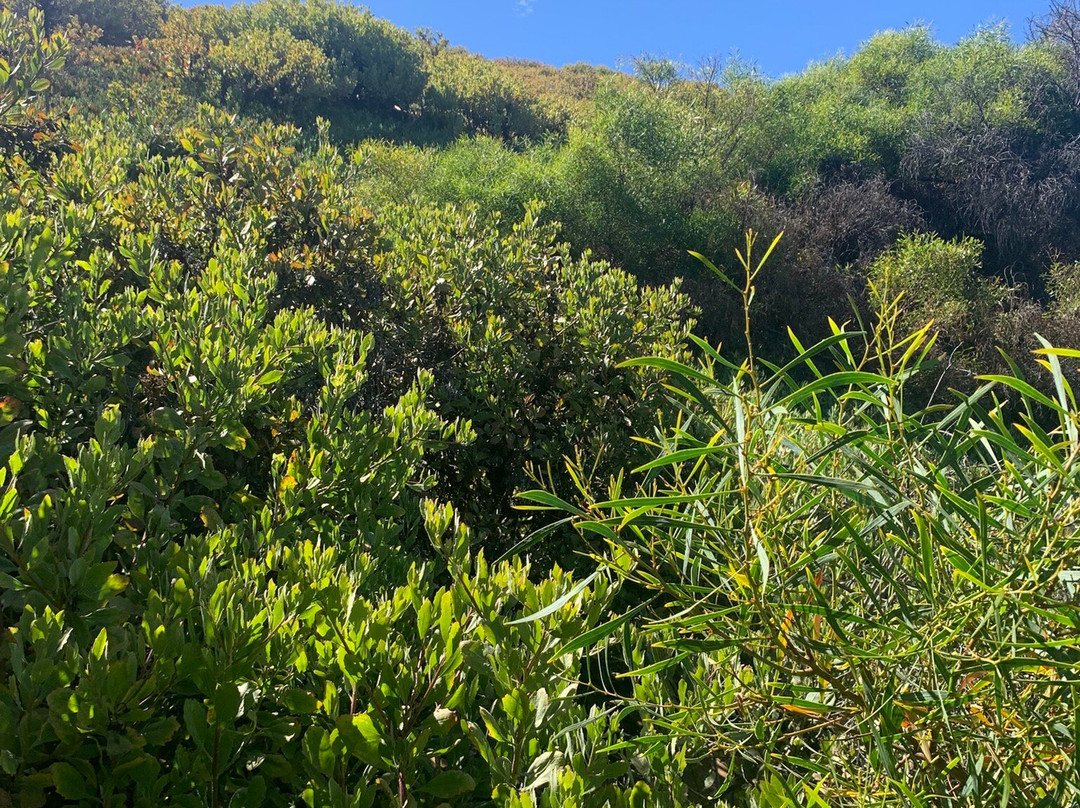 Concon Dunes-Concon必去景点