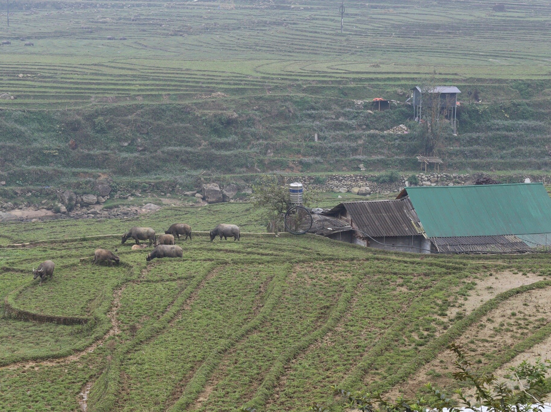 SaPa Farmer House主图