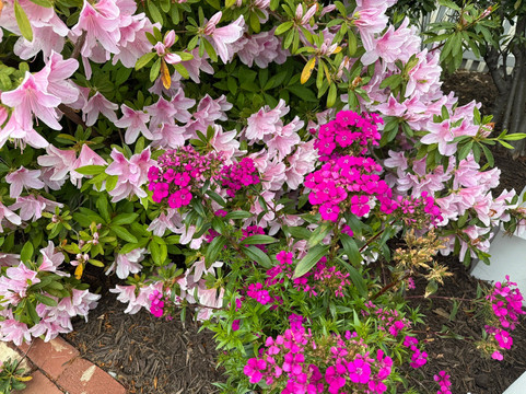 Wilmington True History Tours-威尔明顿必去景点