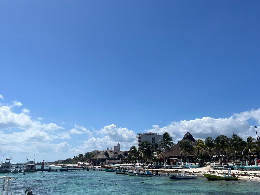 National Reef Park of Puerto Morelos-从莫雷洛斯港必去景点