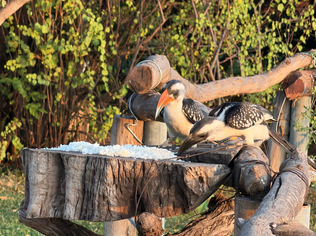 Lake Baringo-Baringo District必去景点