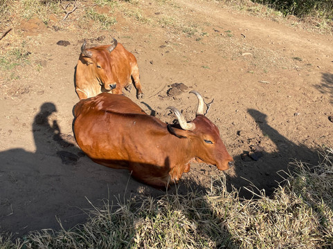 MonteTours-蒙特沃德必去景点