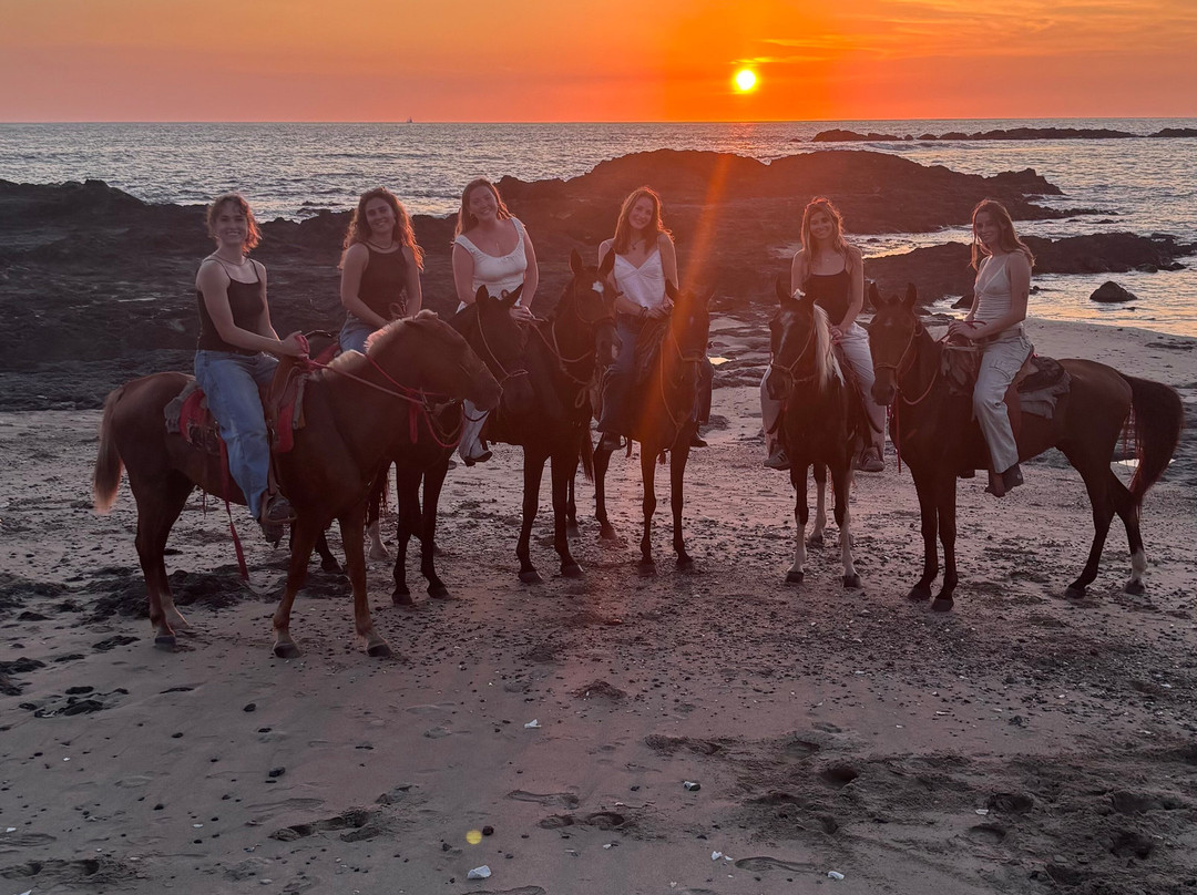 Guti Tours-Playa Avellanas必去景点