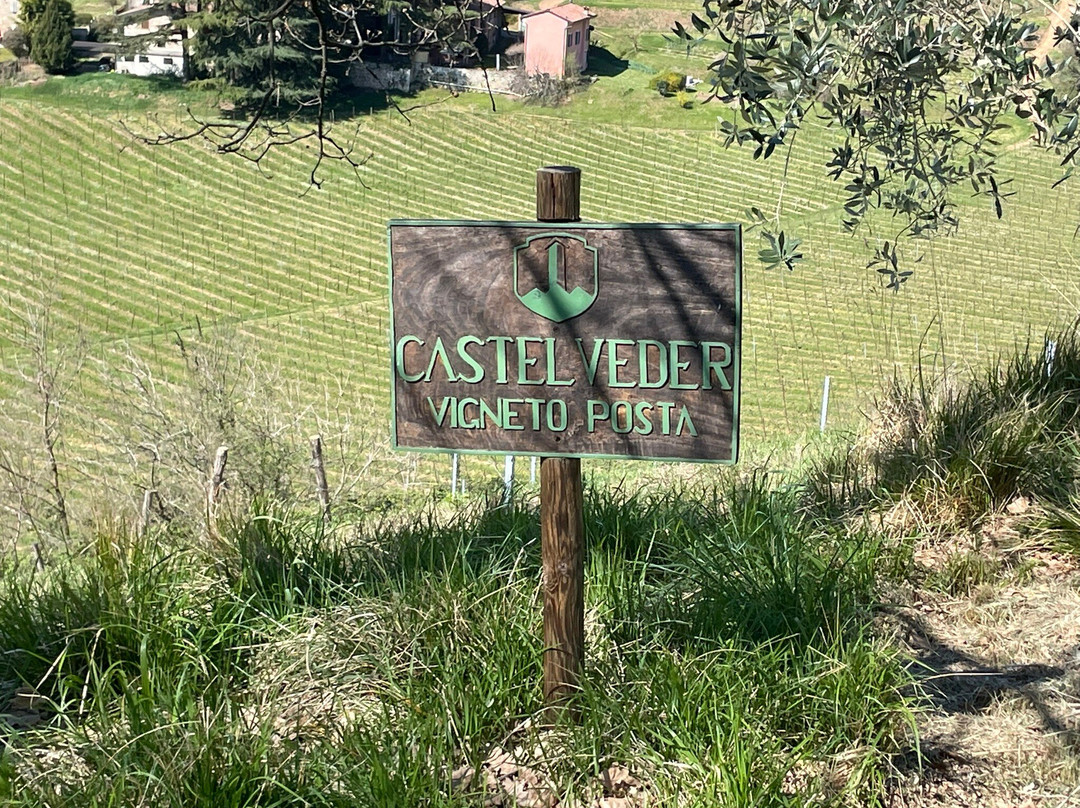 Società Agricola Castelveder-Monticelli Brusati必去景点