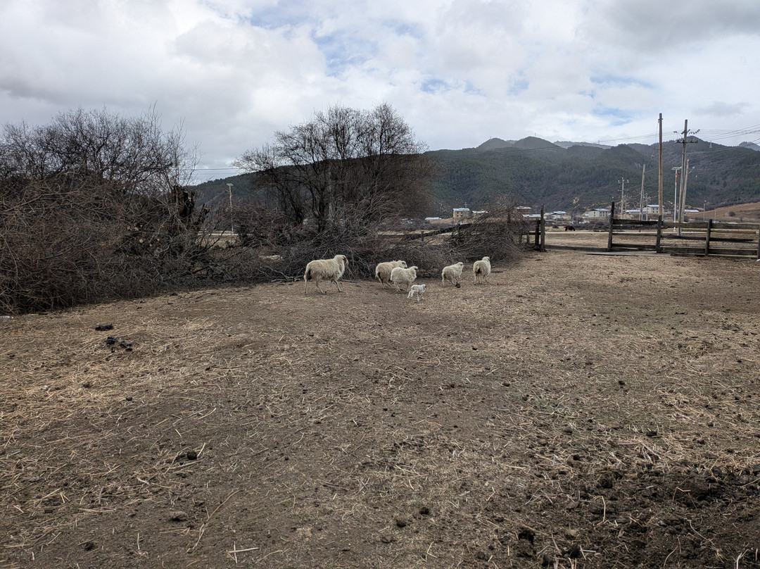 Vicky | Yunnan Travel-剑川县必去景点