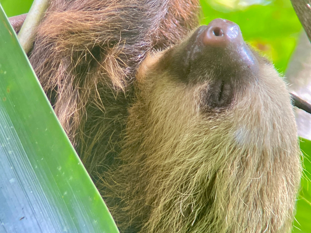 Best of Costa Rica DMC-圣何塞必去景点