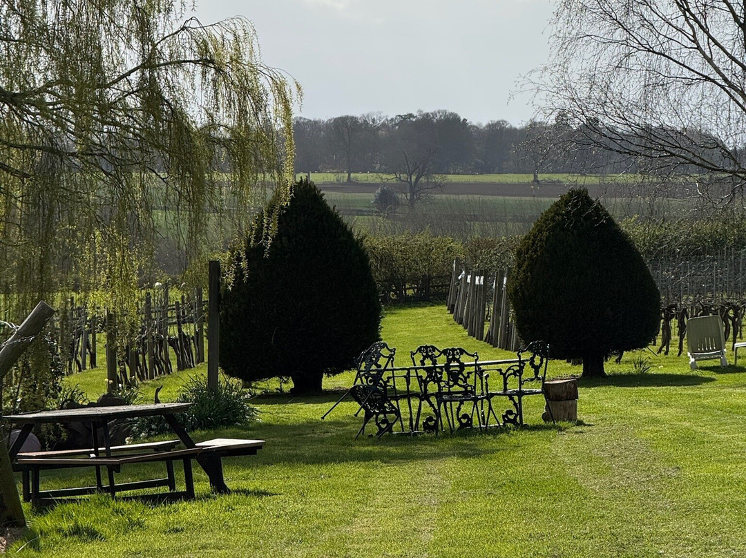 New Lodge Vineyard-Earls Barton必去景点