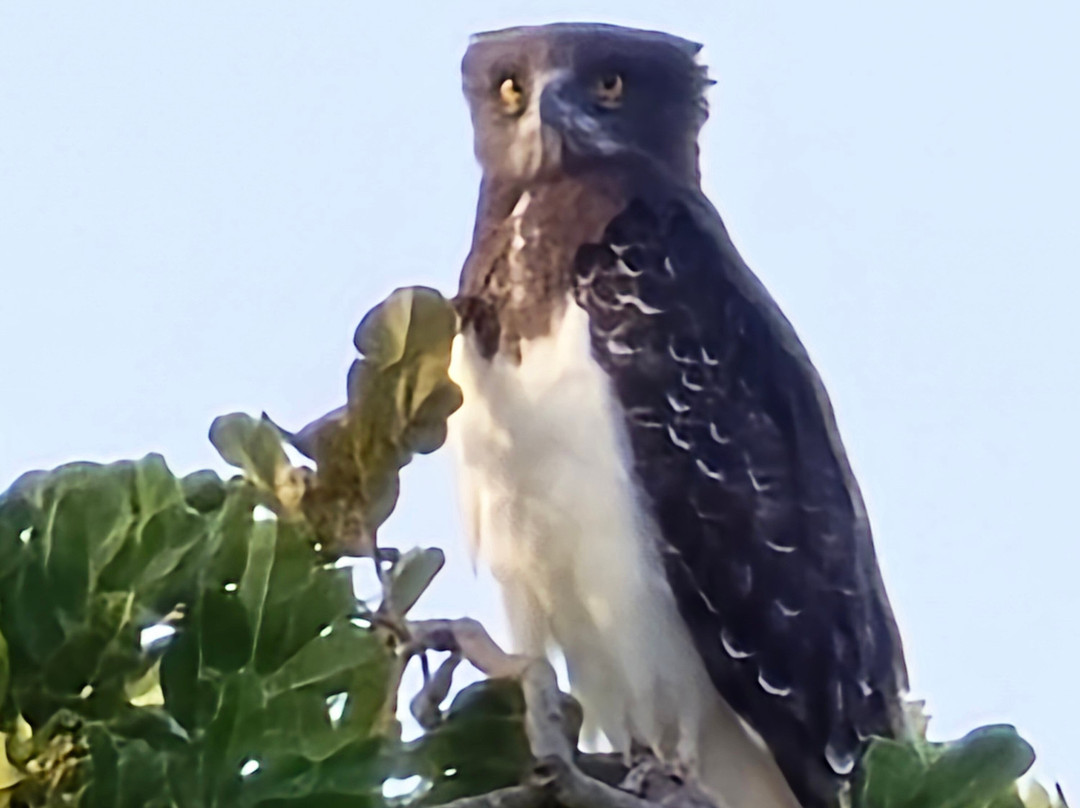 Stokman Safaris-Ruiru必去景点