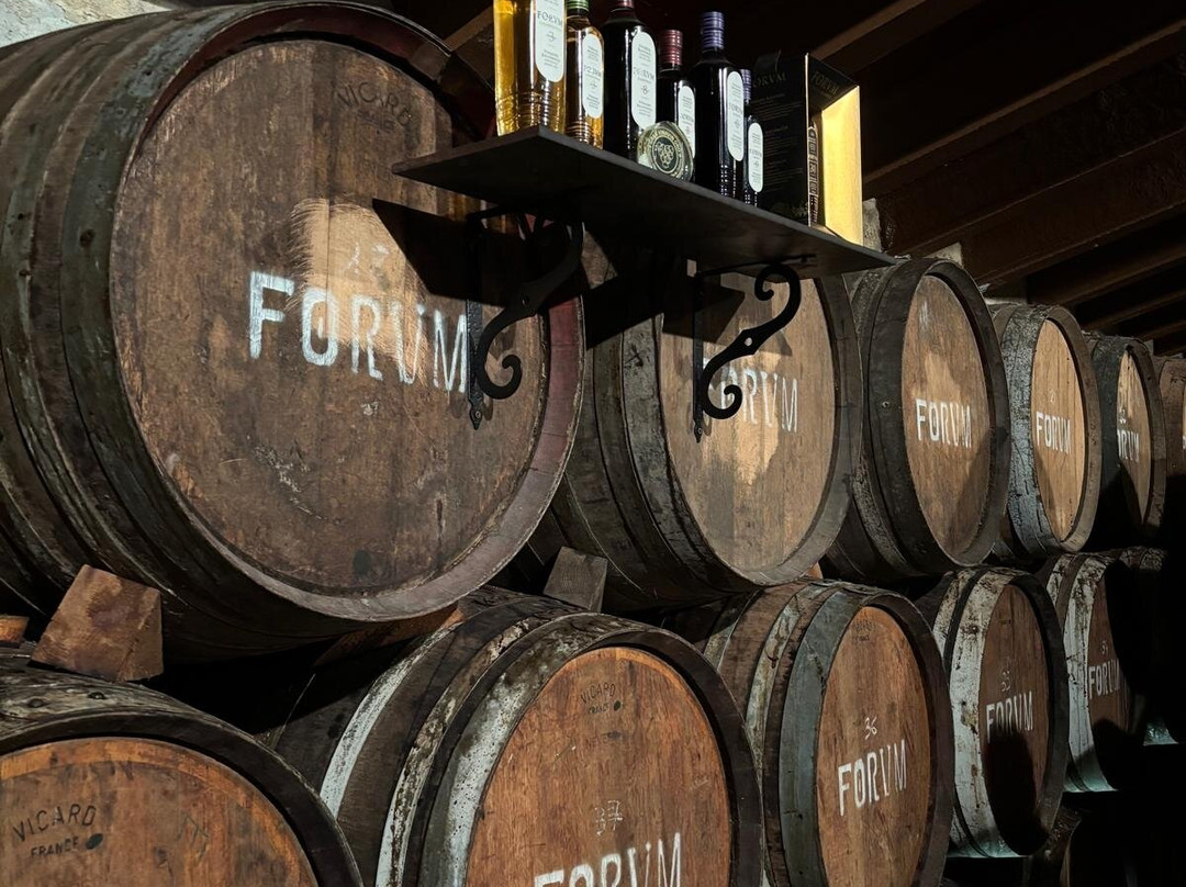 Cellers Avgvstvs Forvm-El Vendrell必去景点