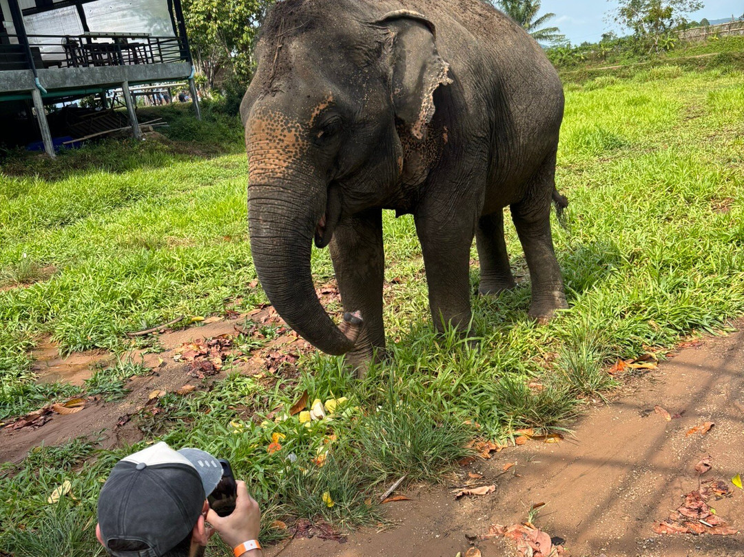 Phuket Elephant Nature Reserve-他朗必去景点