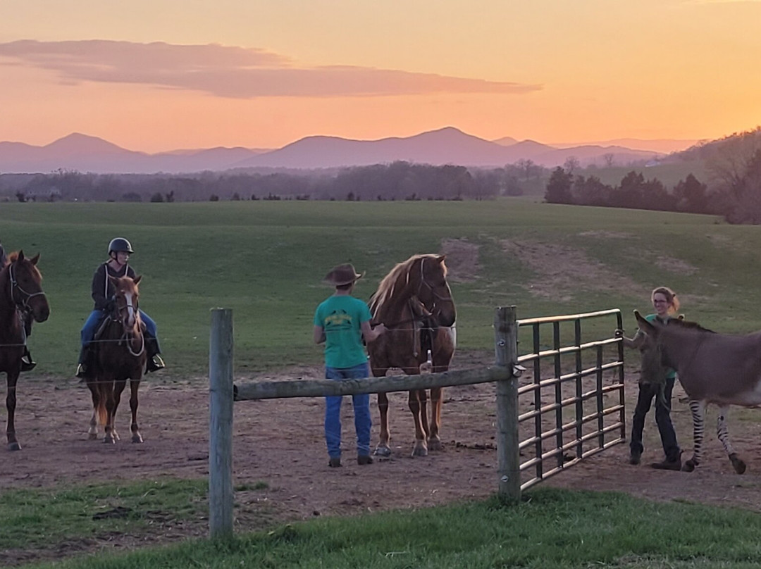 Spring Valley Farm-Moneta必去景点