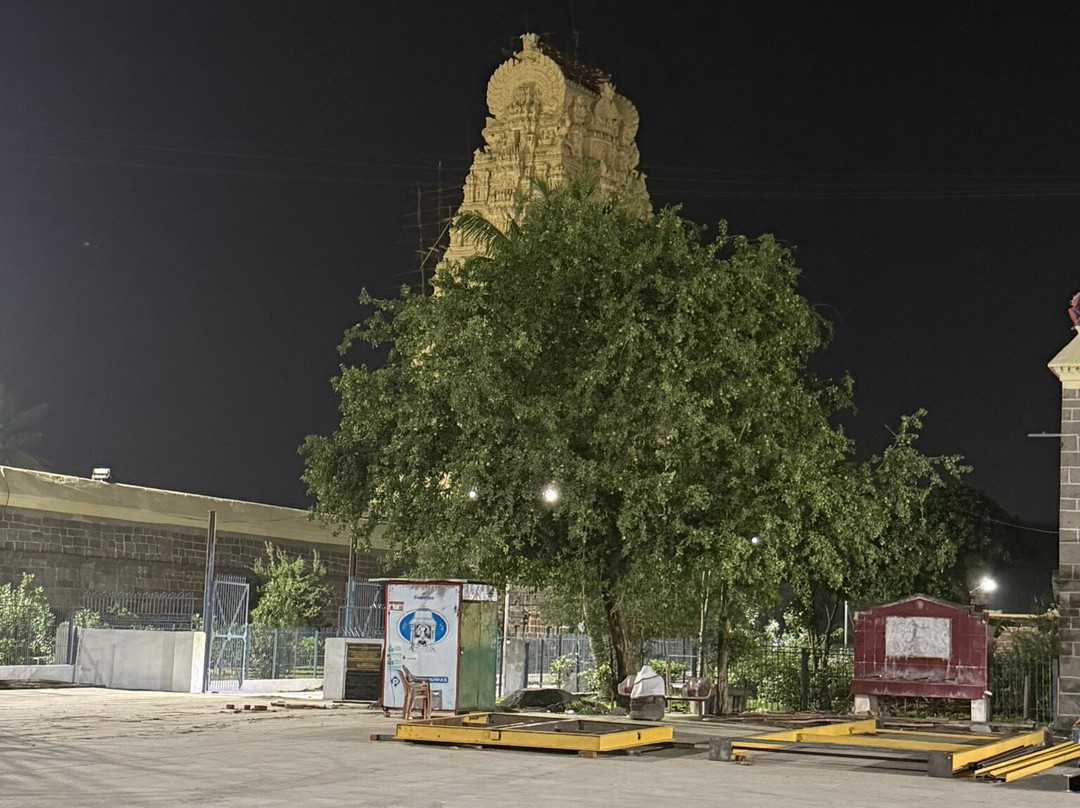 Ekambareswarar Temple-甘吉布勒姆必去景点