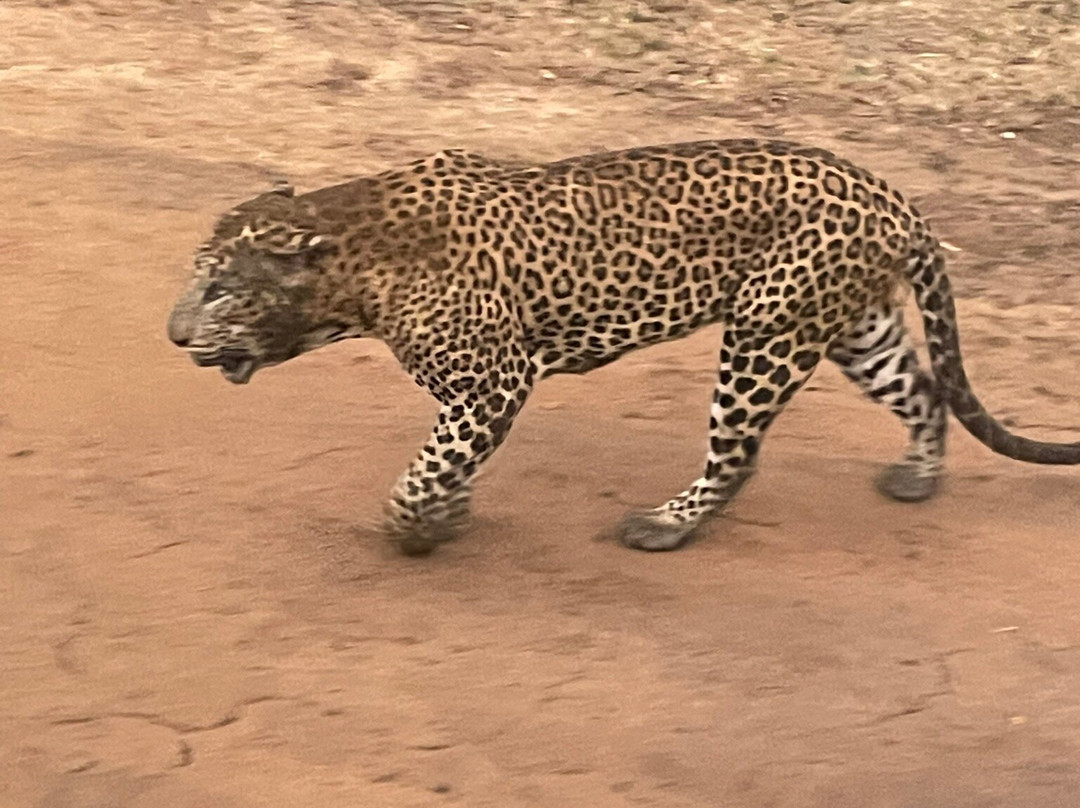 BH Lanka Tours-Kurunegala必去景点