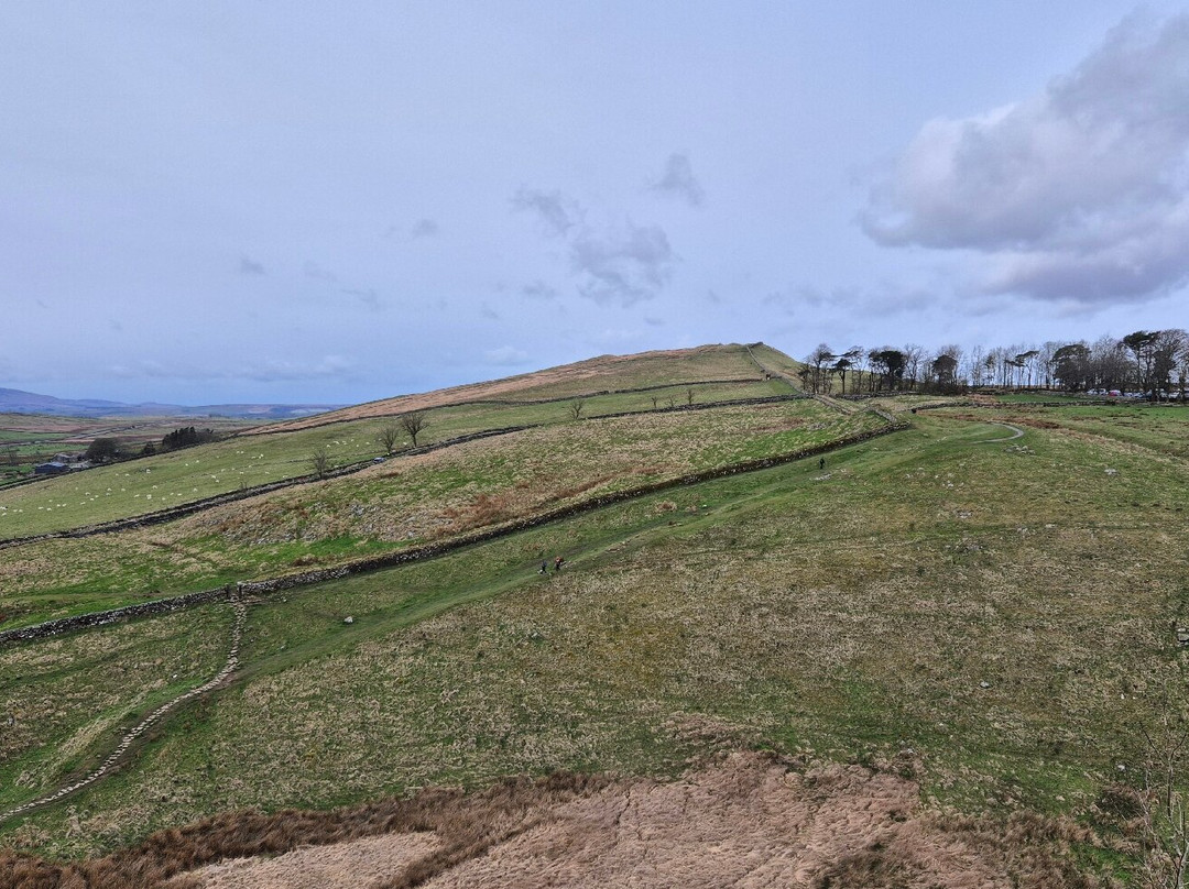 Hadrian's Wall-纽卡斯尔必去景点