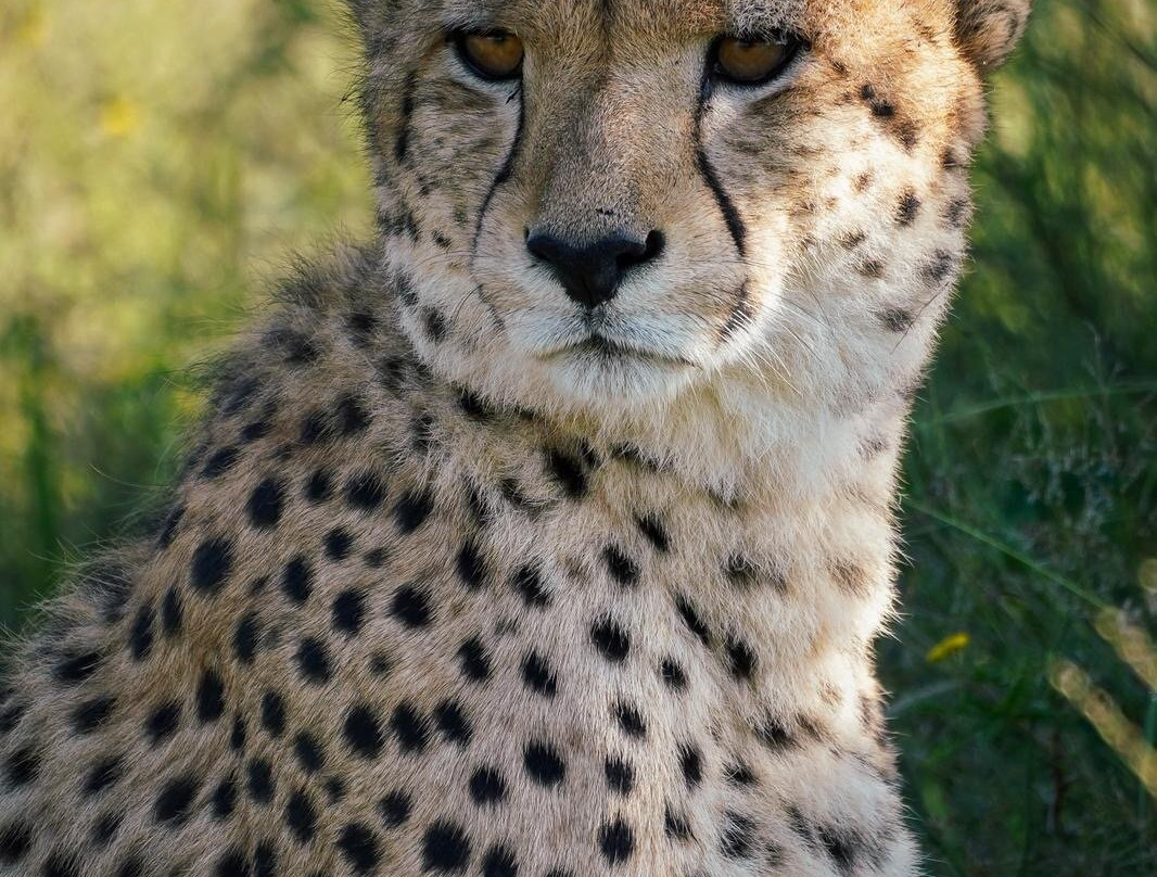 EverseenAfrica-霍德斯普鲁特必去景点