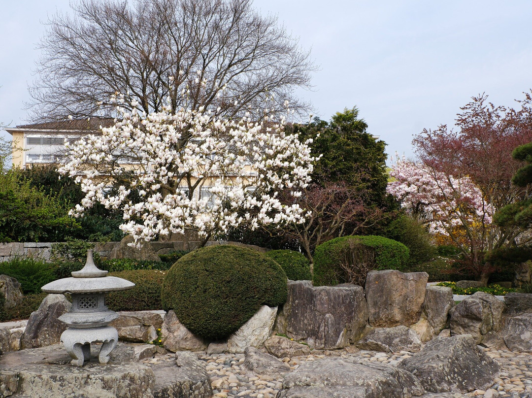 Japanischer Garten-佛莱堡必去景点