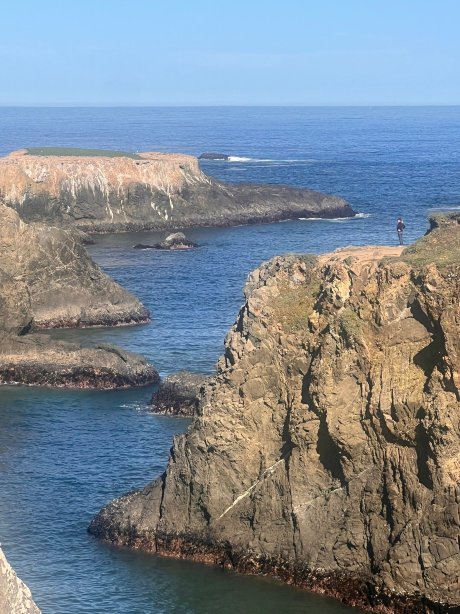 Sea Rock Inn-官方