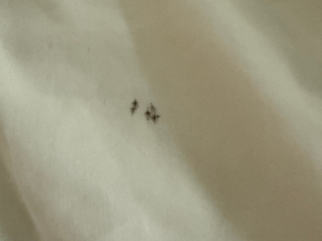 哥伦比亚凯西万怡酒店主图
