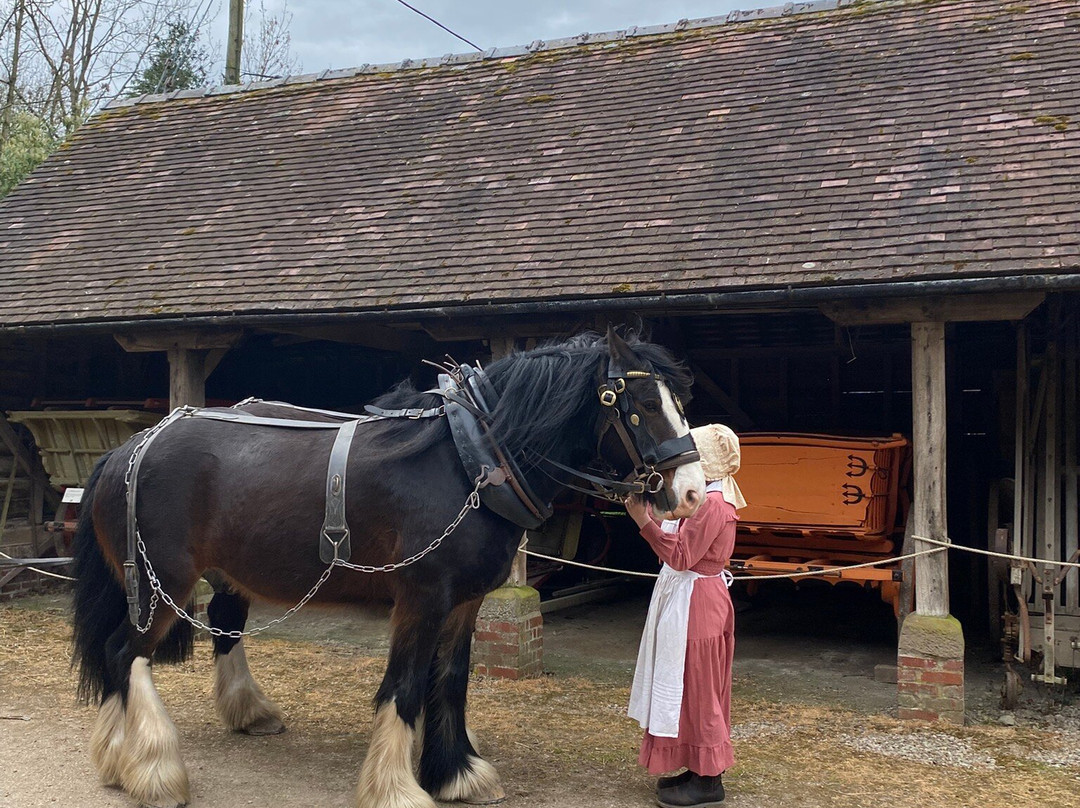 Acton Scott Heritage Farm-Acton Scott必去景点