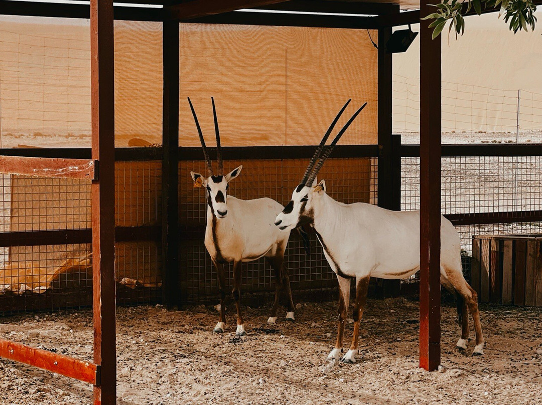 The Outpost Al Barari-Mesaieed必去景点