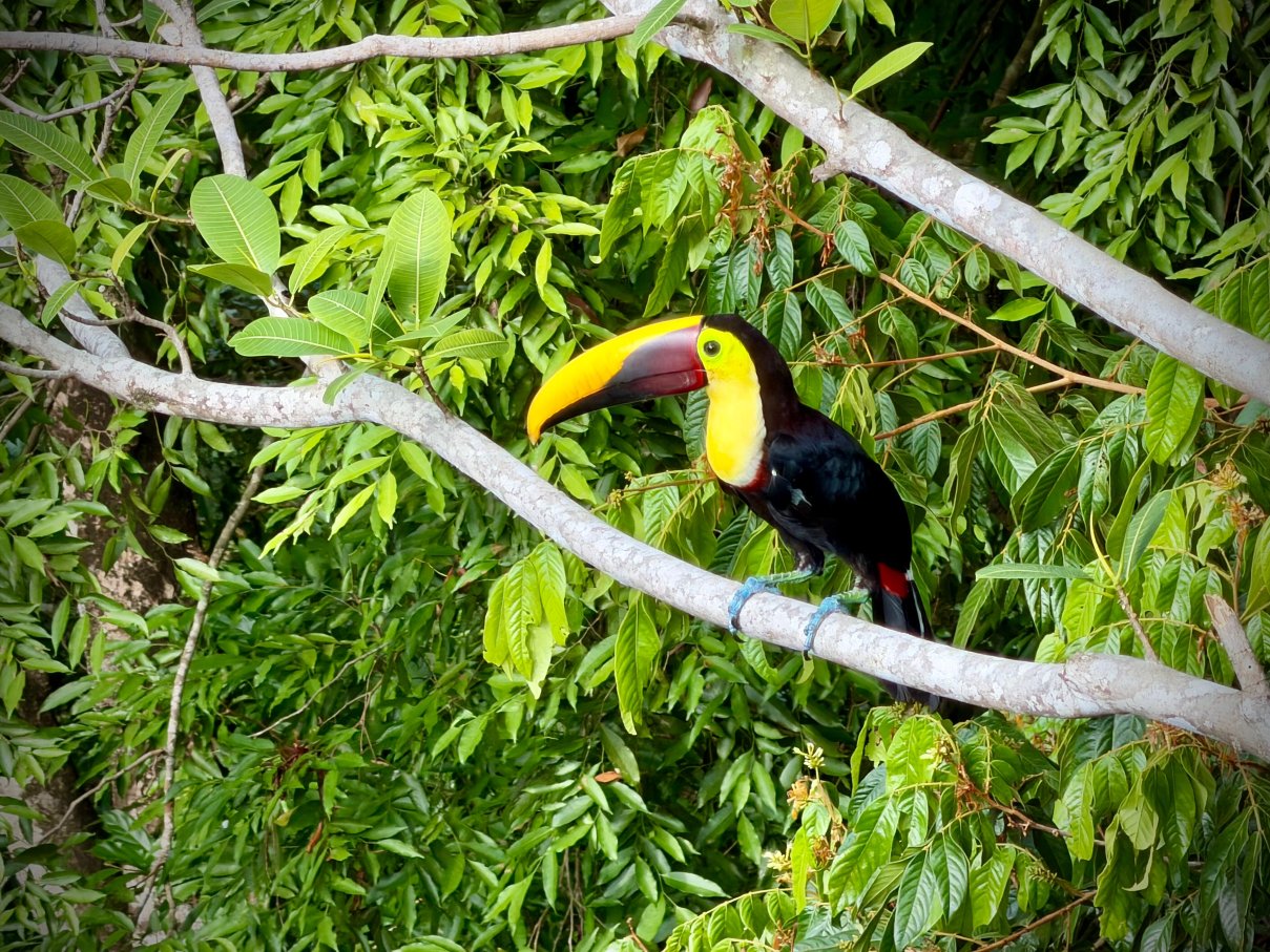 图莱马尔豪华度假屋-酒店景观