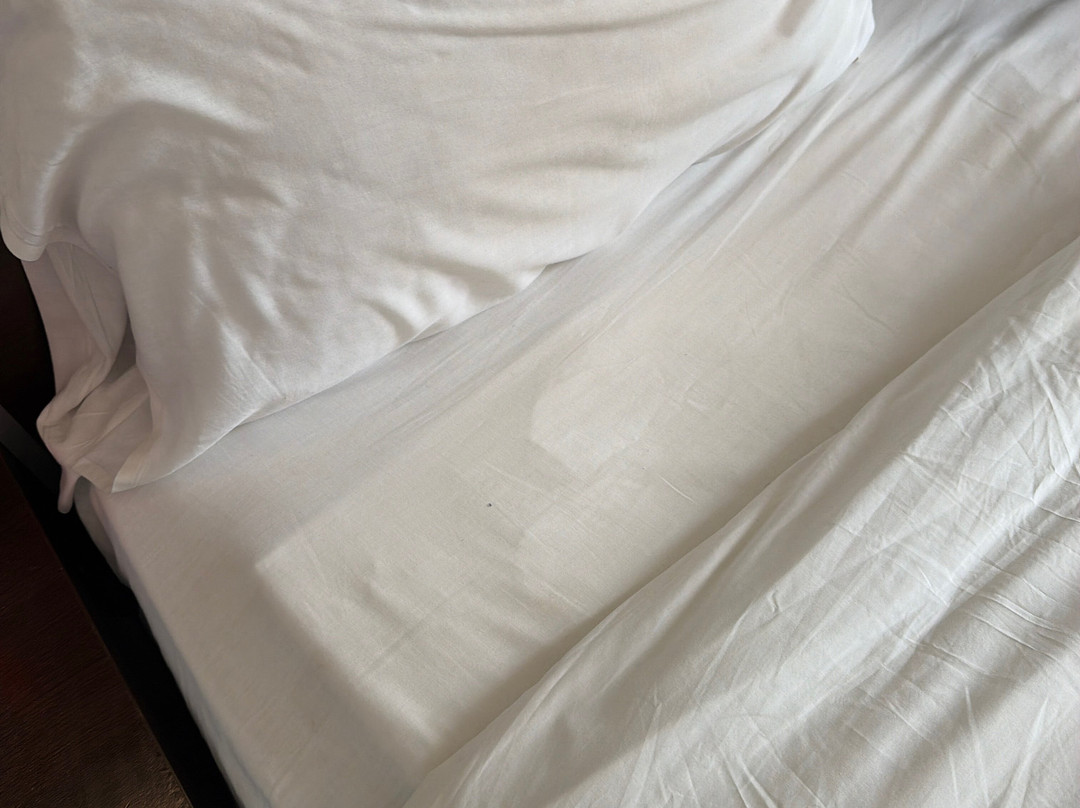 努阿瑟尔机场瑞莱克斯酒店主图