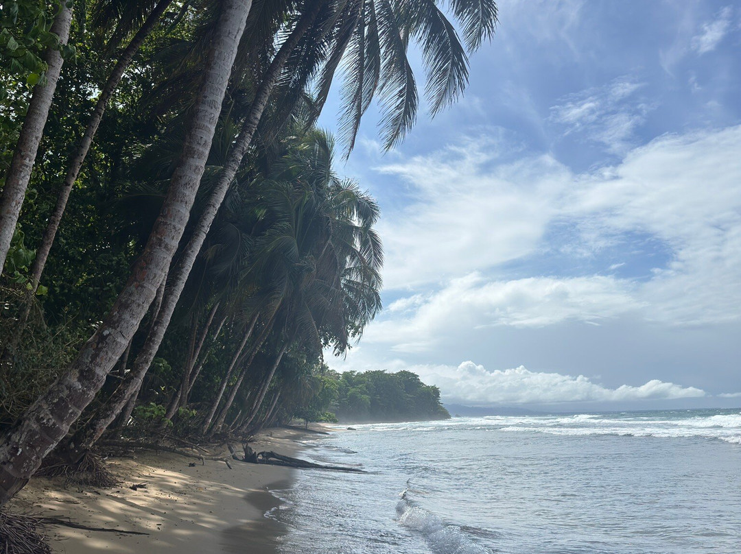 Playa Punta Uva-Punta Uva必去景点