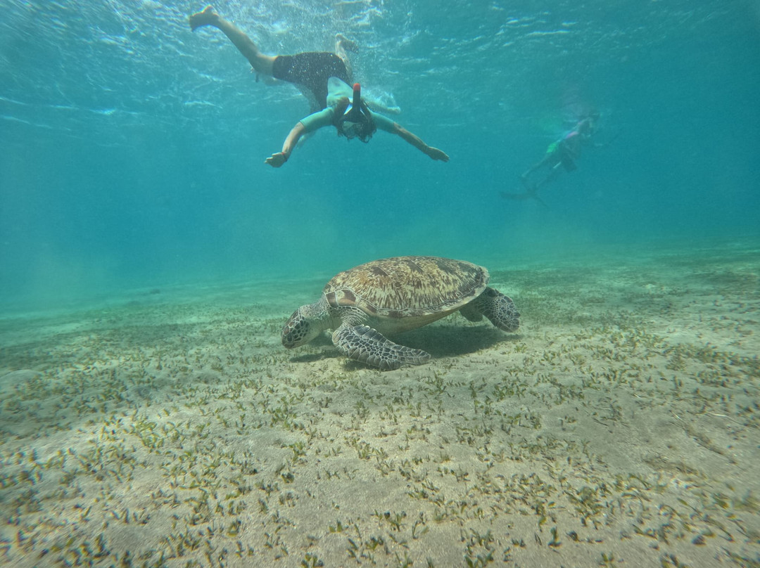 ÄGYPTEN - VIP unvergessliche exclusive Ausflüge mit FARA & HAMADA-Pfungen必去景点