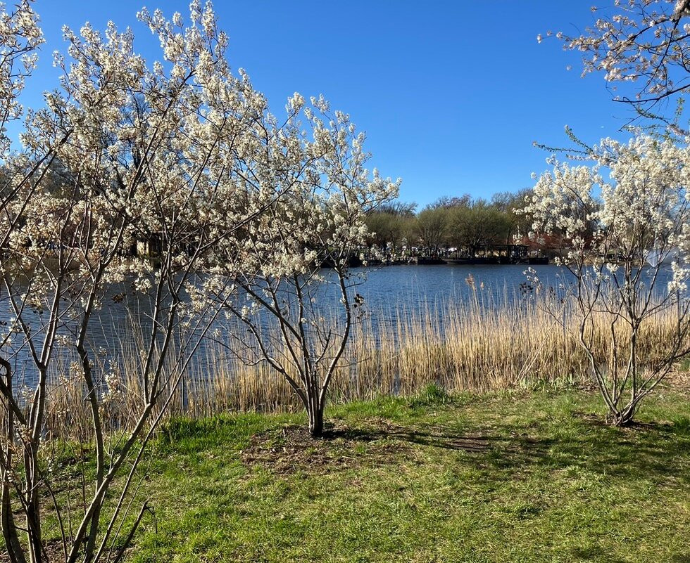 Branch Brook Park-纽瓦克必去景点