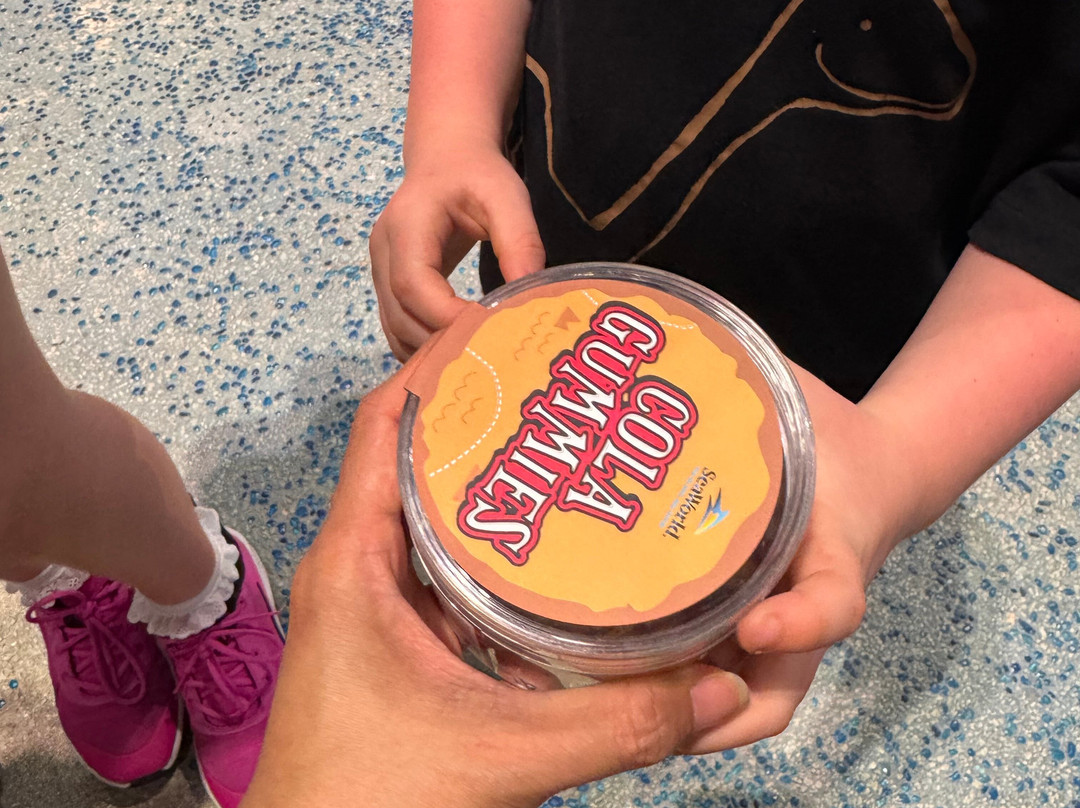 SeaWorld Yas Island Abu Dhabi-阿布扎比必去景点