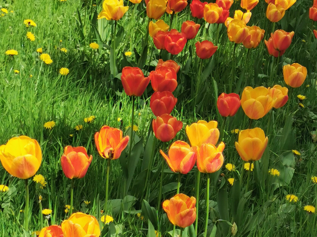 Easton Walled Gardens-格兰瑟姆必去景点