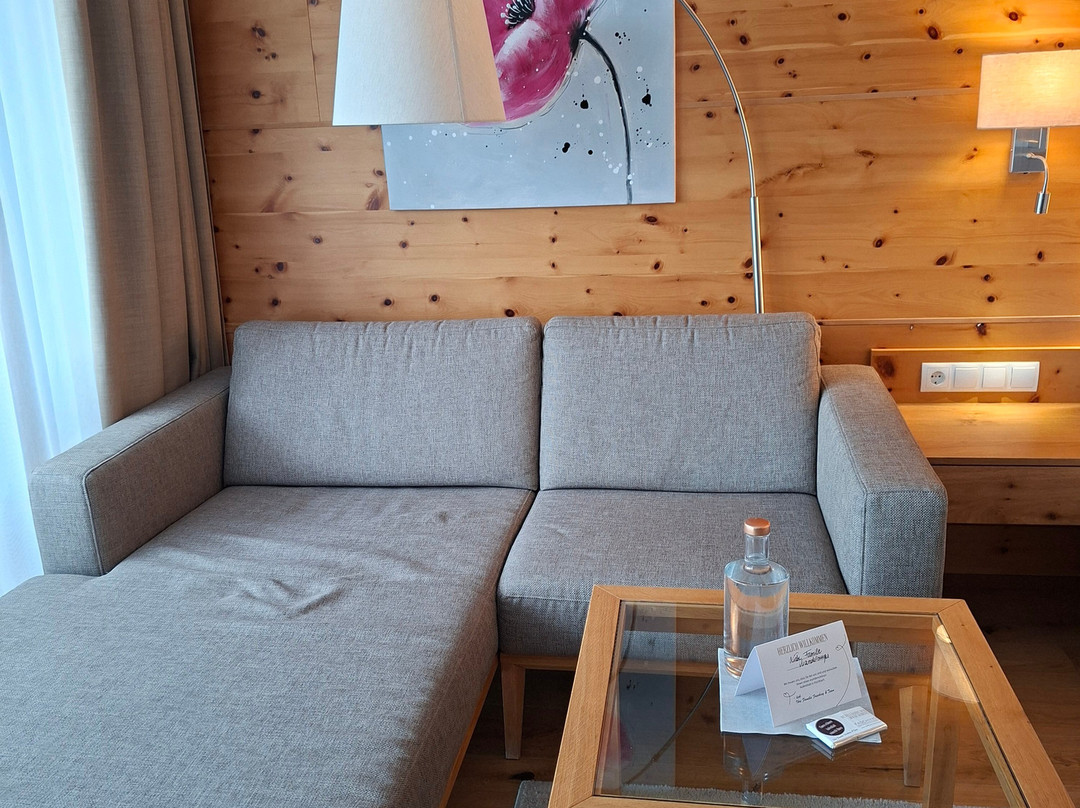 Dorfhotel Fasching主图