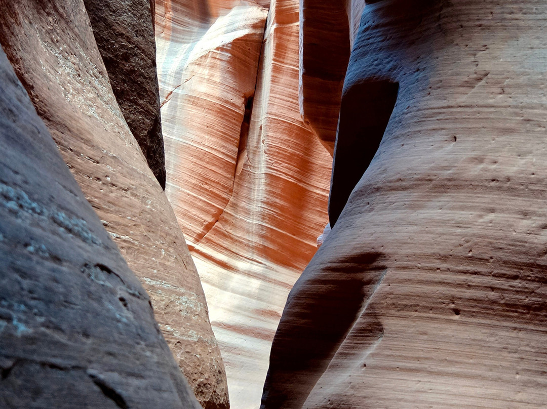 Antelope Canyon X By Taadidiin Tours-佩吉必去景点